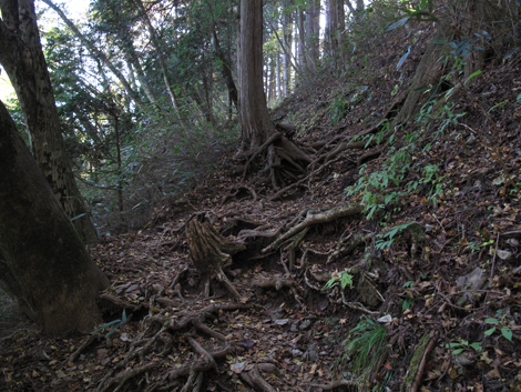 20171102hike (209)